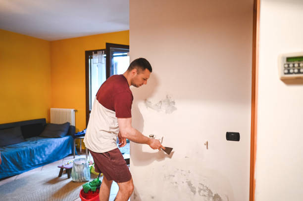 Best Mold Damage Repair  in Cowpens, SC